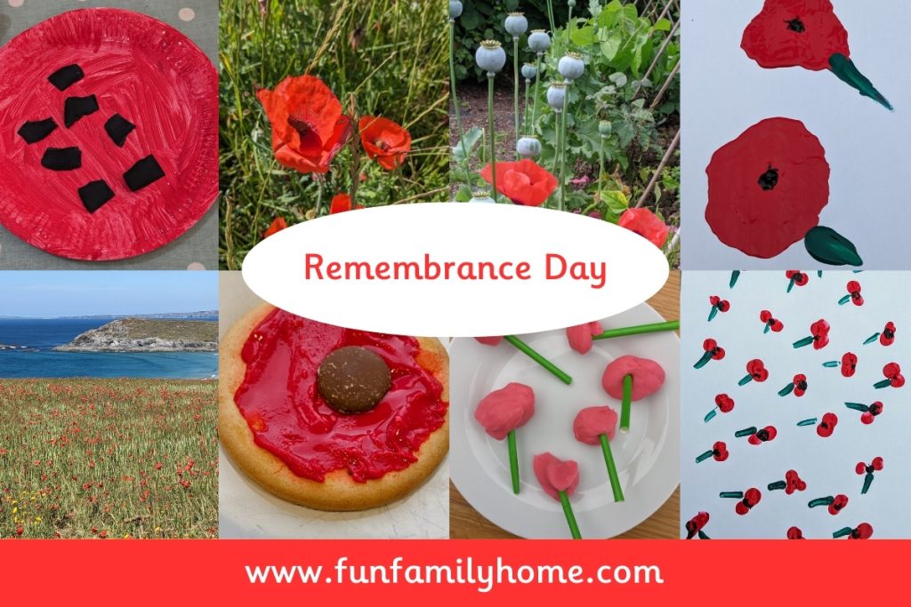 Remembrance Day Activities with Toddlers